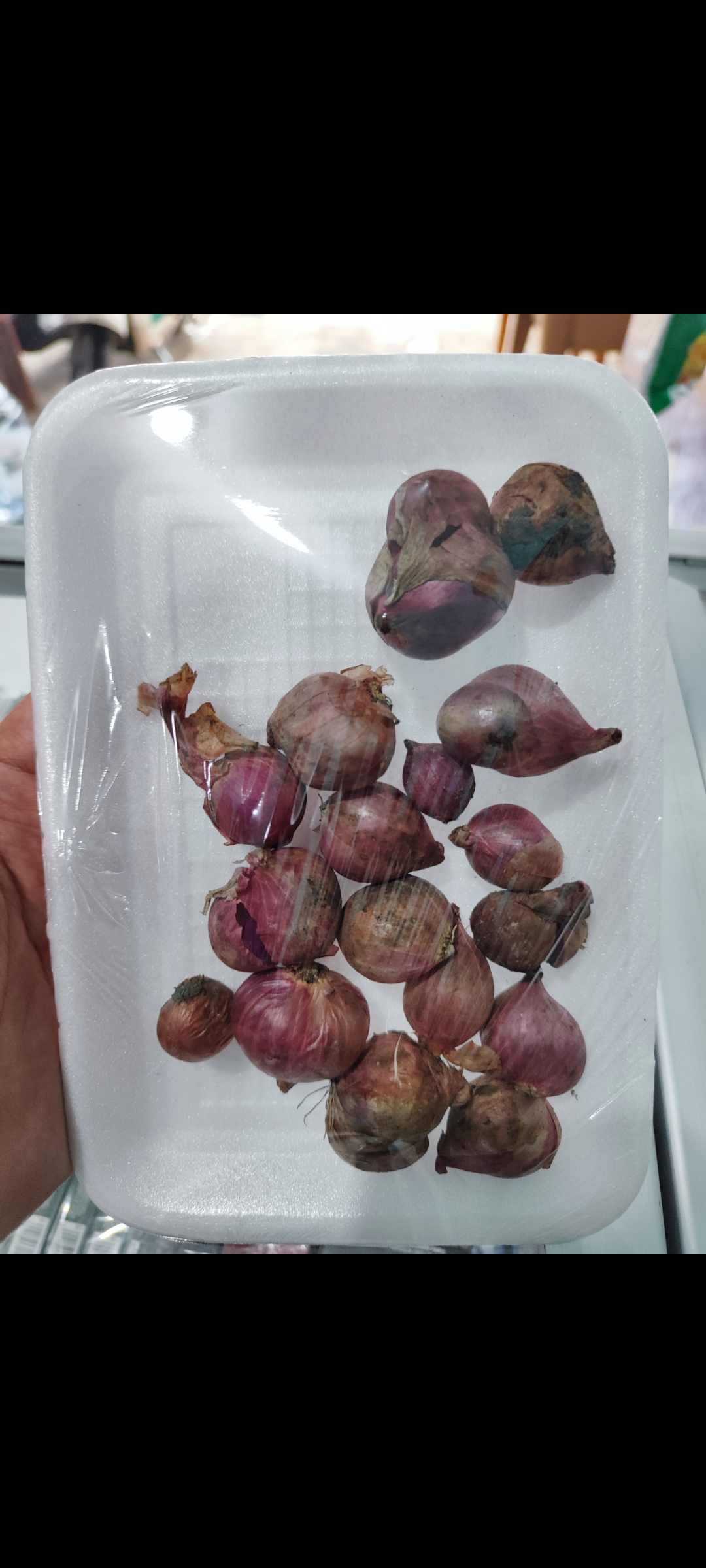 Bawang Merah