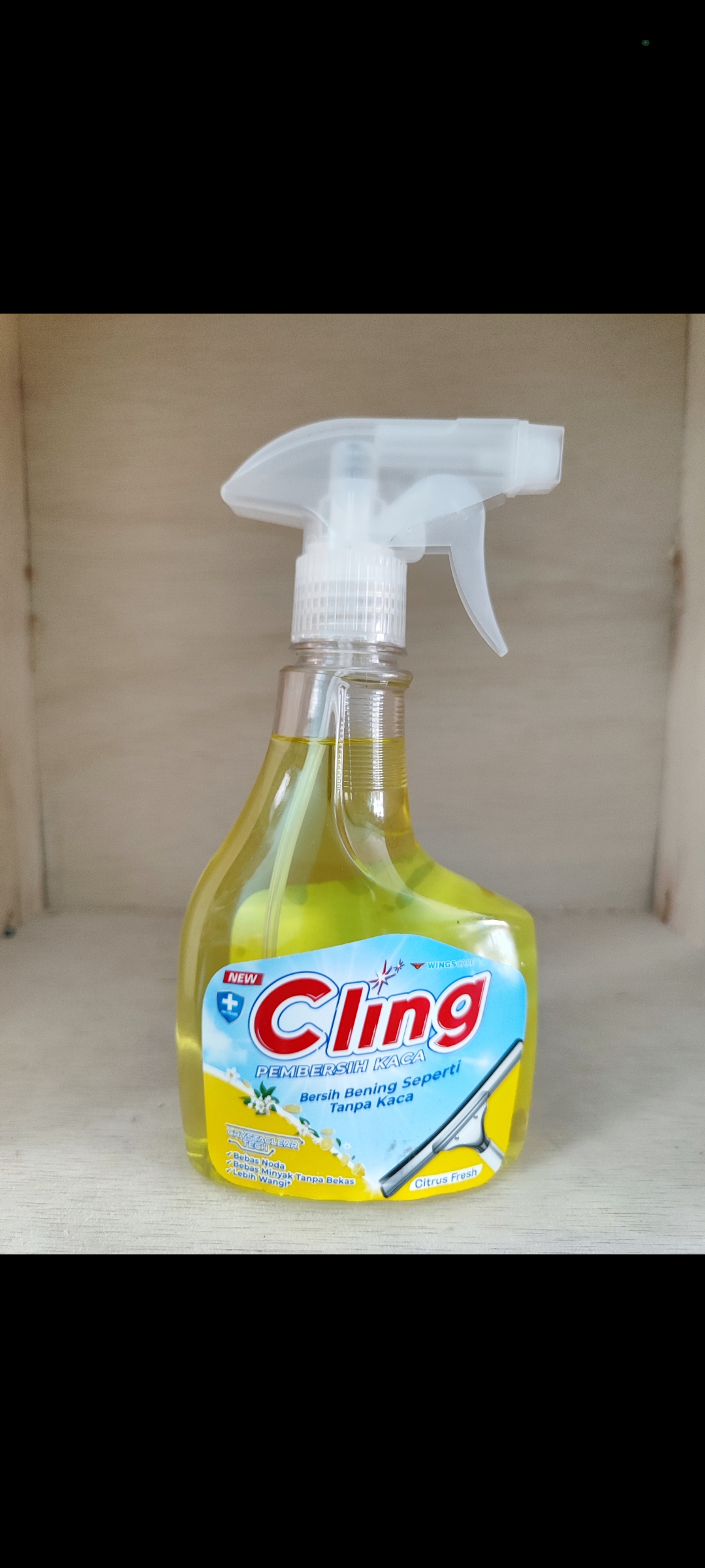 Cling Kaca Pump