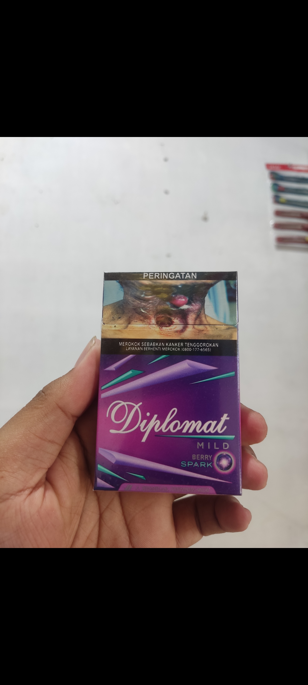 DIPLOMAT BERRY 16