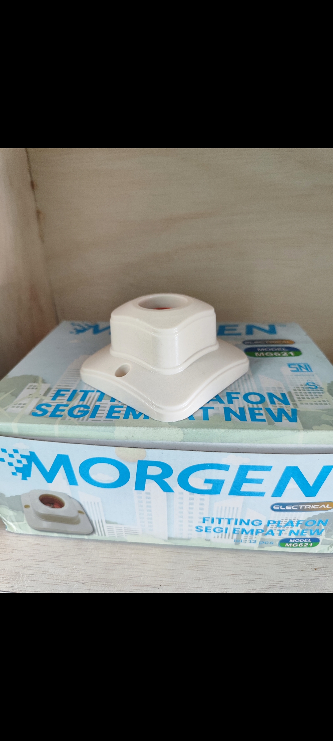 Fitting Plafon Lampu Oval MORGEN MG-621