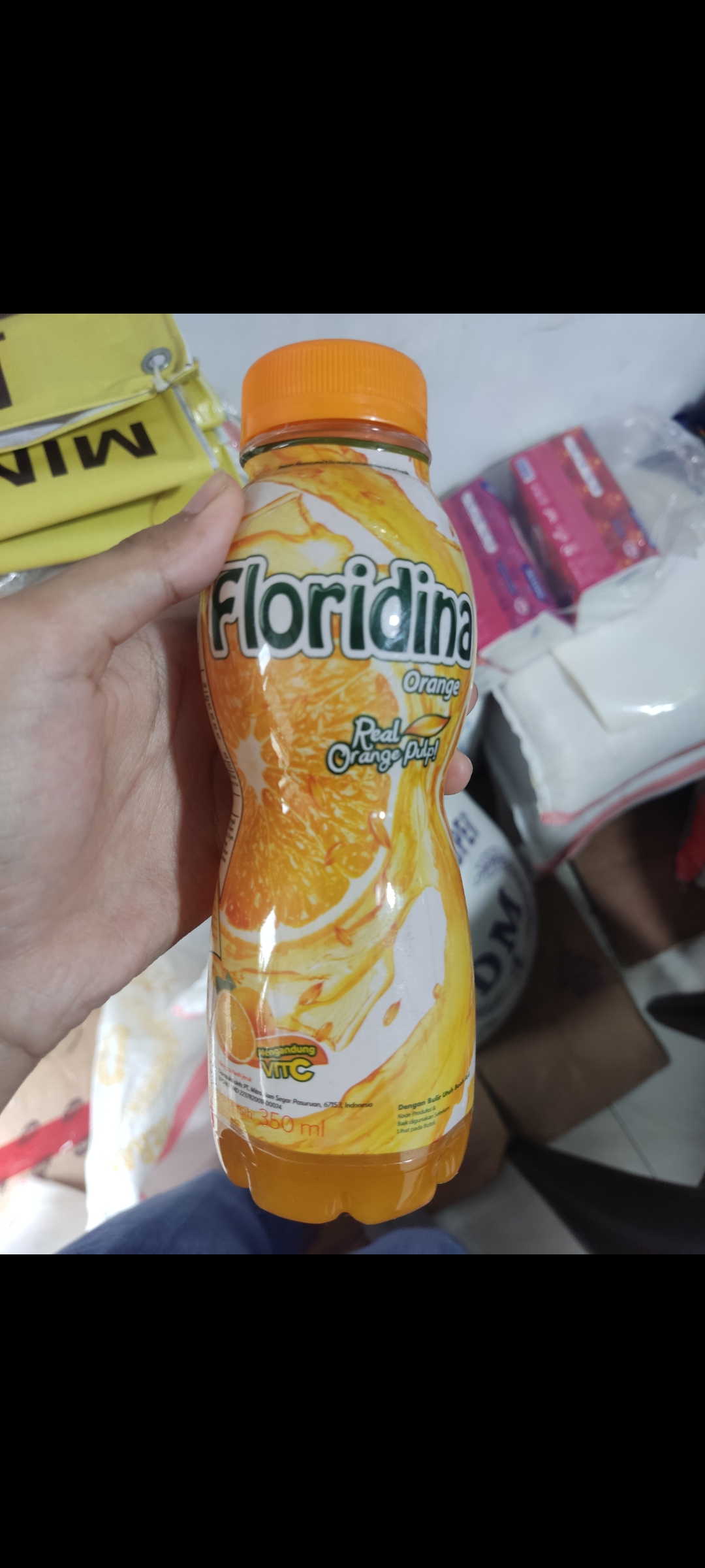 Floridina_3_JJ