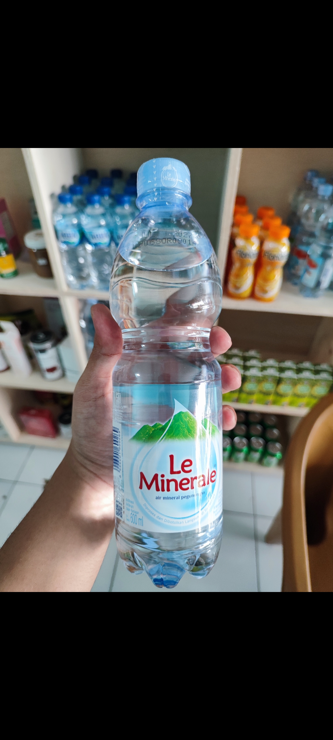 Le minerale 600
