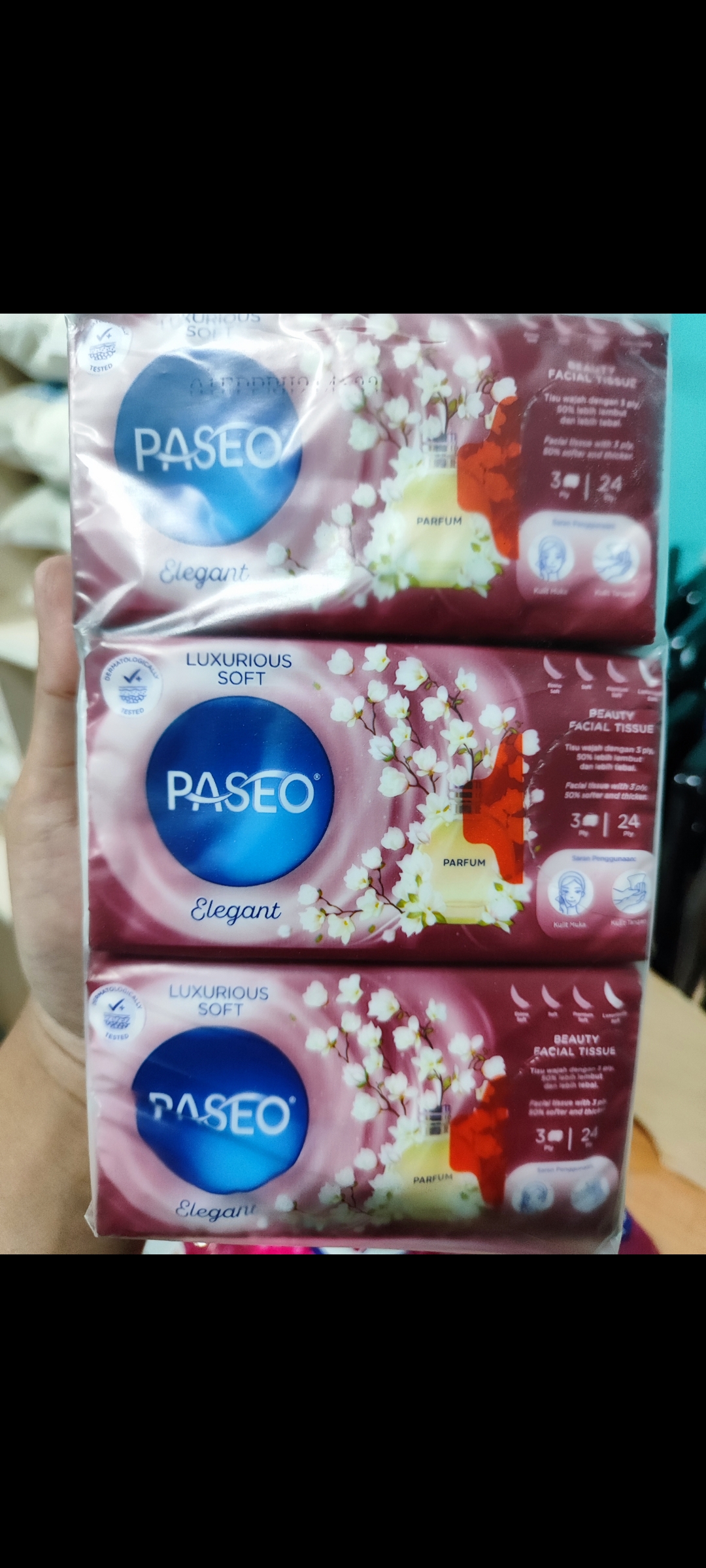 Paseo 2000 an