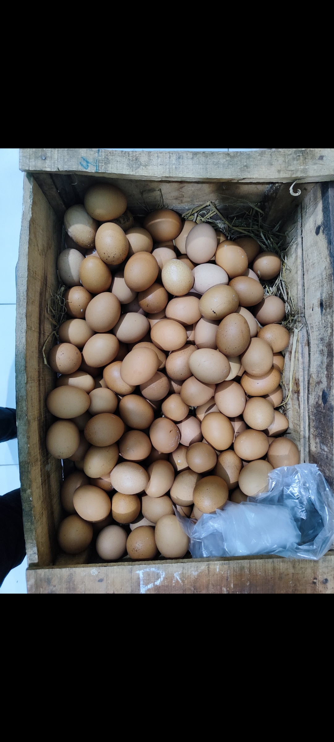 Telur 1/4kg